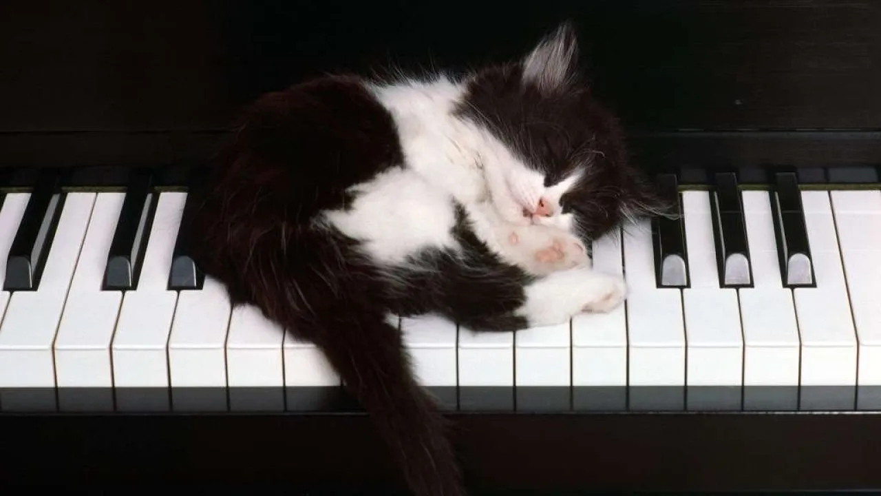 BUONANOTTE AI SUONATORI